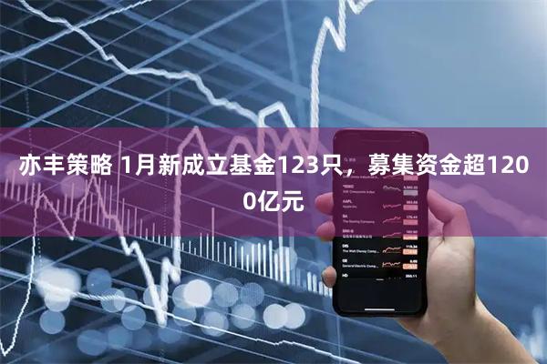 亦丰策略 1月新成立基金123只，募集资金超1200亿元