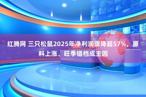 红腾网 三只松鼠2025年净利润骤降超57%，原料上涨、旺季错档成主因